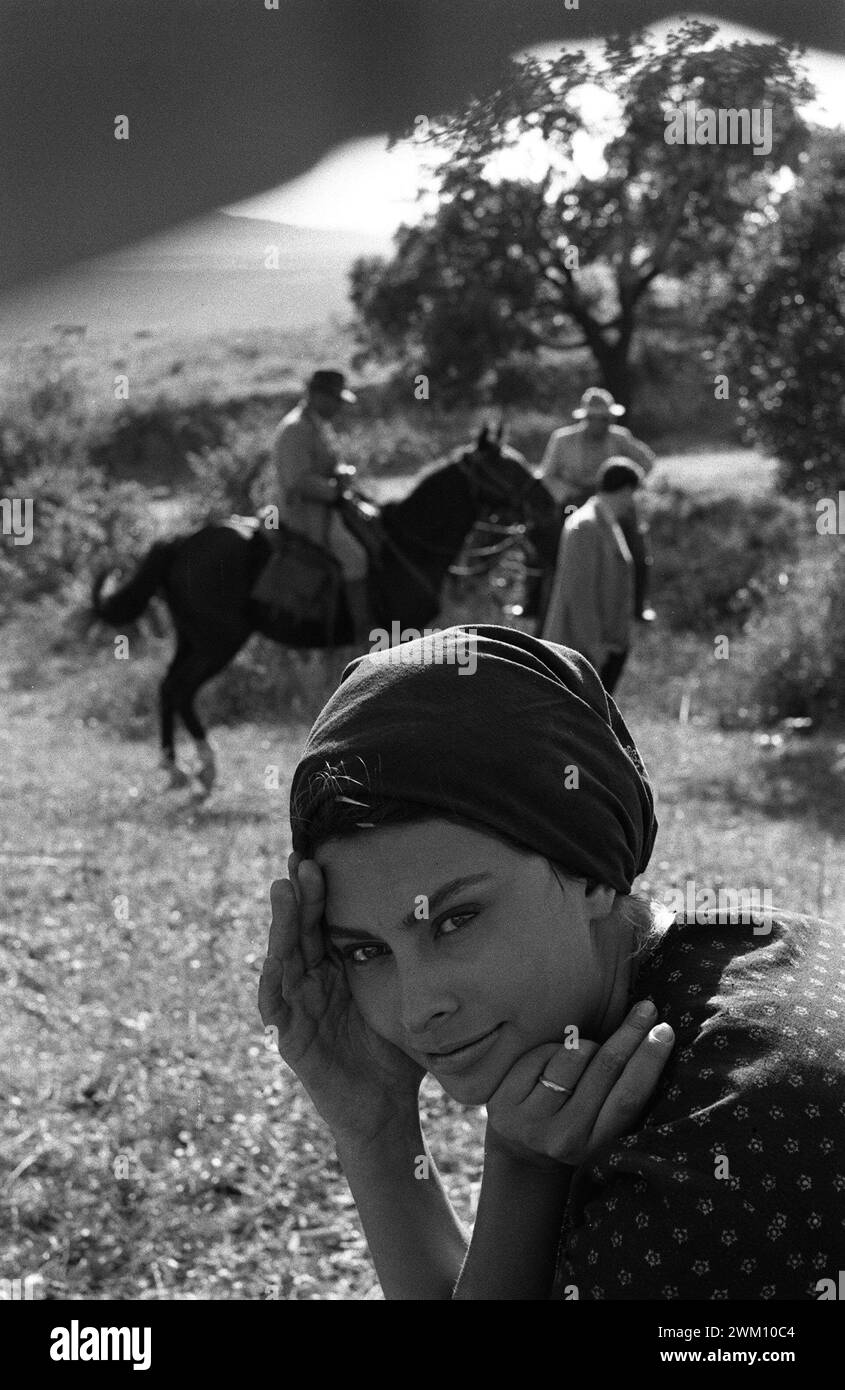 3824033 Sophia Loren; (add.info.: 07-10-1960. Schauspielerin Sophia Loren am Set des Films „La Ciociara“ („zwei Frauen“) von Vittorio de Sica / 10.07.1960. L'attrice Sophia Loren sul Set del Film 'La Ciociara' diretto da Vittorio de Sica - Marcello Mencarini Historisches Archiv); © Marcello Mencarini. Alle Rechte vorbehalten 2024. Stockfoto