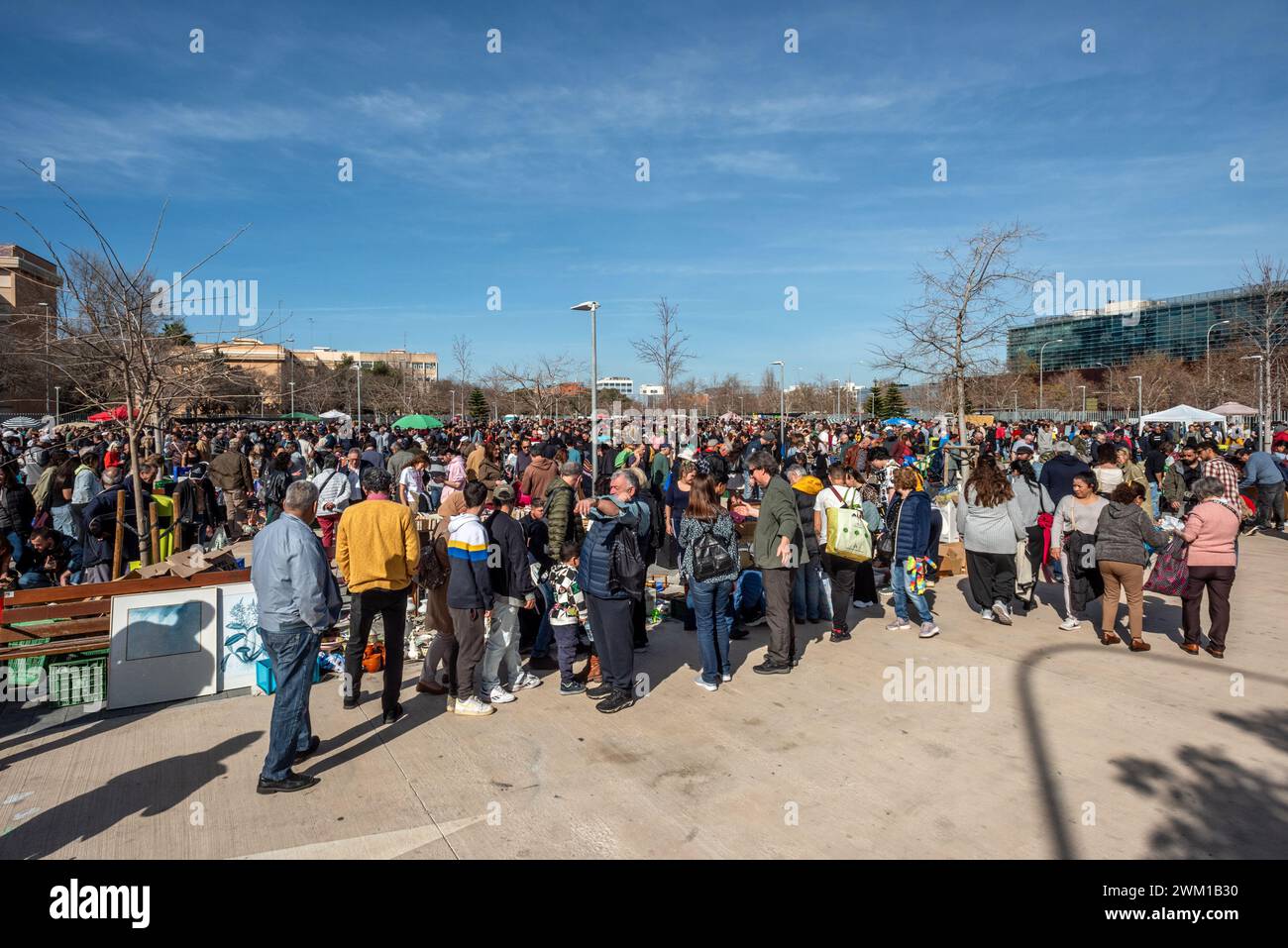Valencia, 18. Februar 2024: Flohmarkt Stockfoto