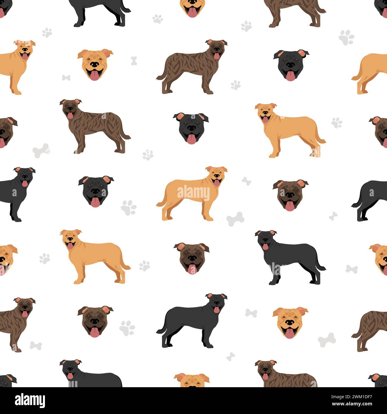 Nahtloses mallorquinisches Mastiff-Muster. Alle Lackfarben festgelegt. Infografik zu den Merkmalen aller Hunderassen. Vektorabbildung Stock Vektor