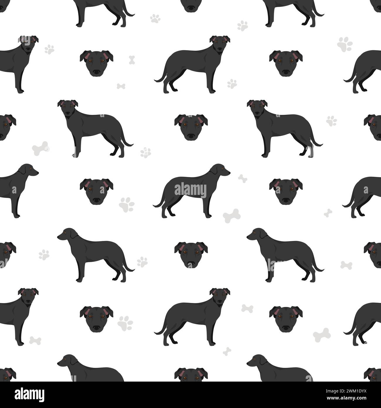 Mallorca Schäferhund nahtloses Muster. Alle Lackfarben festgelegt. Infografik zu den Merkmalen aller Hunderassen. Vektorabbildung Stock Vektor