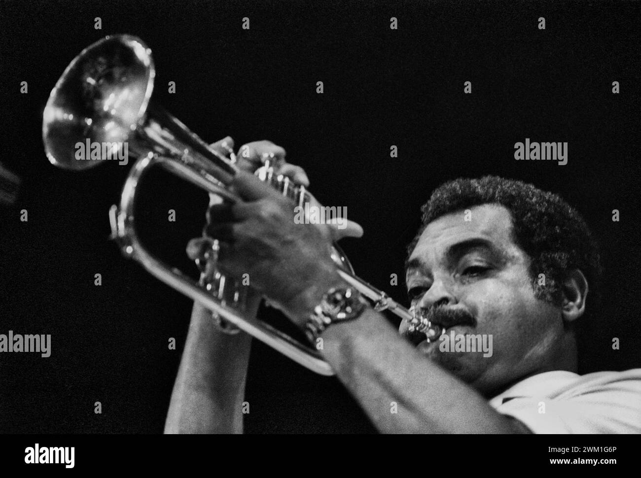 4068637 amerikanischer Jazz-Trompeter Art Farmer mit Auftritt (ca. 1985) (Foto); (add.info.: Il trobettista Jazz Art Farmer in Concerto (1985 circa)); © Marcello Mencarini. Alle Rechte vorbehalten 2024. Stockfoto