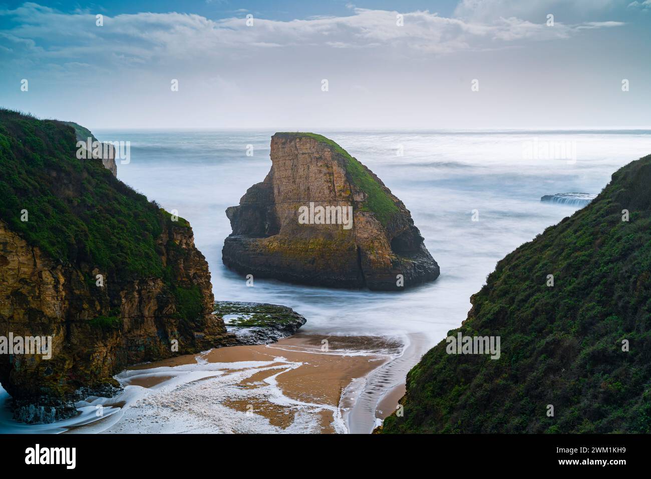 Shark Fin Cove schlägt durch brechende Welle Stockfoto