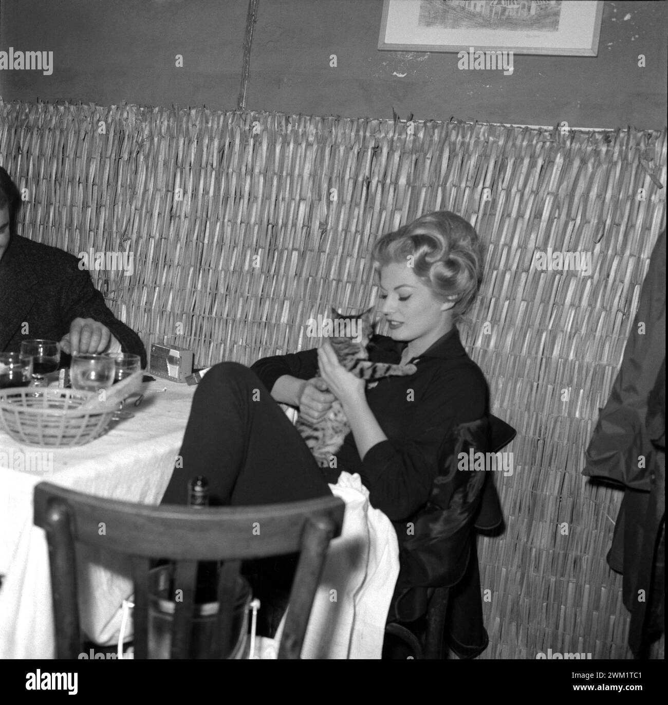 MME4722404 Rom, ca. 1960. Schwedische Schauspielerin Anita Ekberg mit einer Katze in einem Restaurant/Roma, ca. 1960. L'attrice svedese Anita Ekberg con un gatto in un ristorante -; (add.info.: Rom, um 1960. Schwedische Schauspielerin Anita Ekberg mit einer Katze in einem Restaurant/Roma, ca. 1960. L'attrice svedese Anita Ekberg con un gatto in un ristorante -); Foto © Aldo Durazzi/Marcello Mencarini Archives. Stockfoto