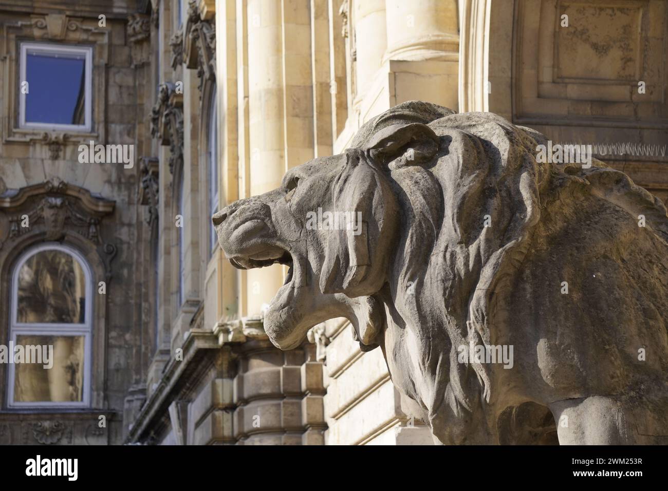 Wunderschönes budapest von allen Seiten gesehen Stockfoto