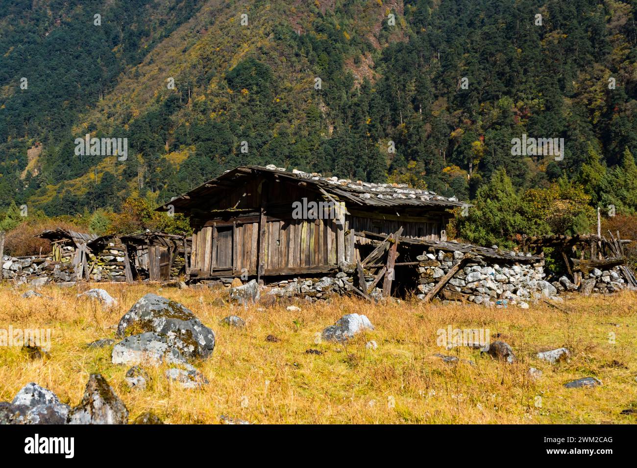 Wunderschöne Phaley Foley Village Community in der Himalaya Landschaft von Kanchenjunga, Taplejung, Nepal Stockfoto