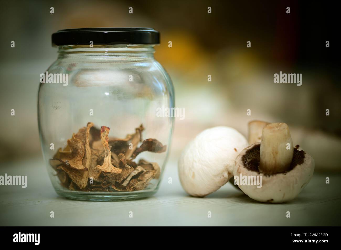 Getrocknete Wildpilze in einem Glas und frische, rohe Champignons auf dem Tisch. Küchen-Stillleben vor einer köstlichen Pilzsuppe kochen, Ungarn Stockfoto