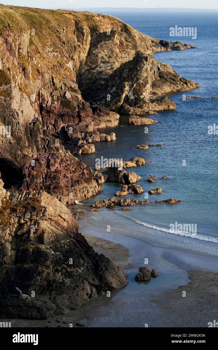 Caerfai Beach, in der Nähe von St David's, Pembrokeshire, Wales, Großbritannien Stockfoto