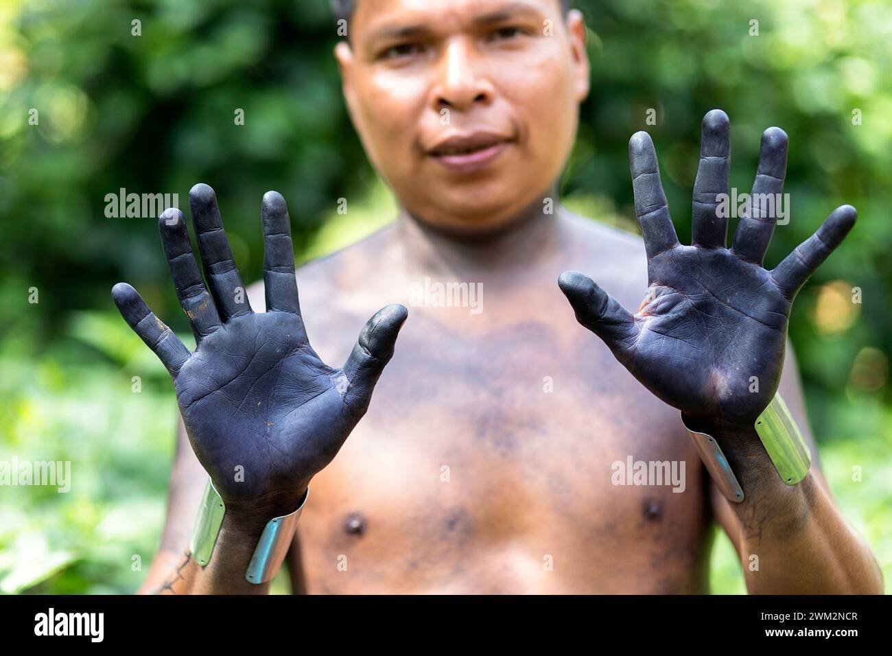 Ein Mann aus dem Stamm der Embera im Chagres-Nationalpark zeigt seine blauen Hände, die vom Saft eines Dschungelpflanzen-Jaguas, der zum Tätowieren verwendet wurde, Panama, befleckt sind Stockfoto