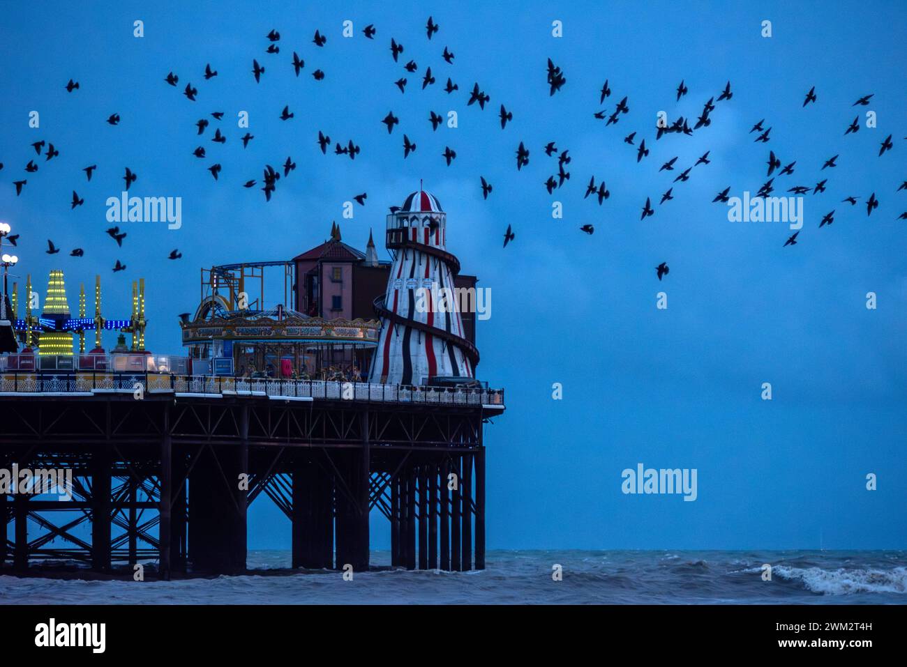Brighton, 23. Februar 2024: Satrlings murmelt vor der Nacht unter Brighton’s Palace Pier Stockfoto