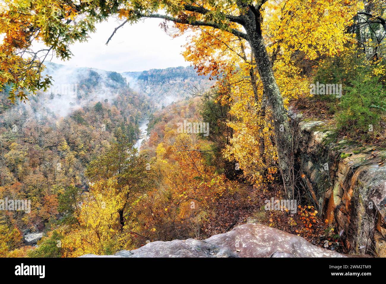 Der Little River Canyon im Herbst in Fort Payne, Alabama Stockfoto