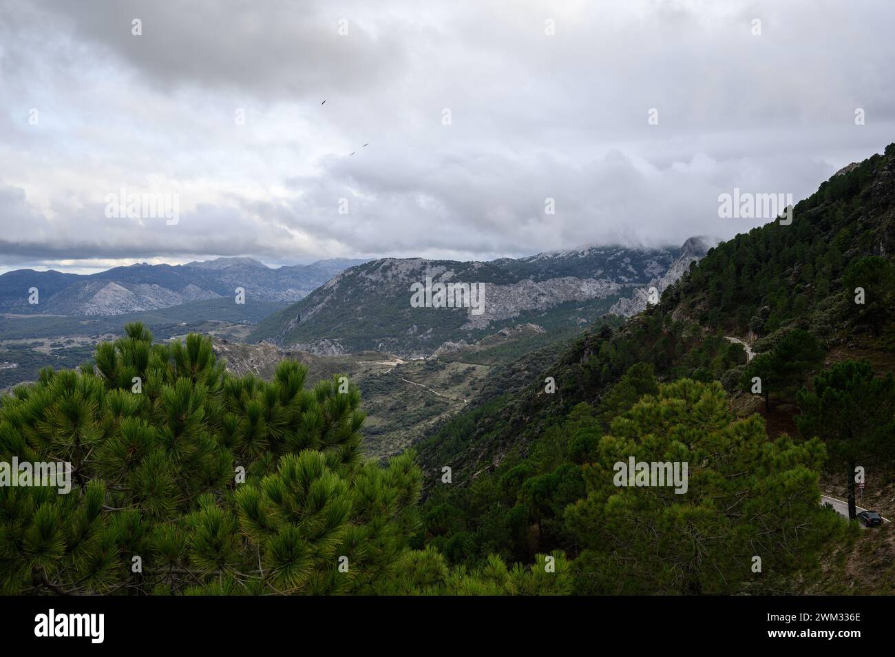 Sierra de Grazalema, Malaga, Cadiz Stockfoto