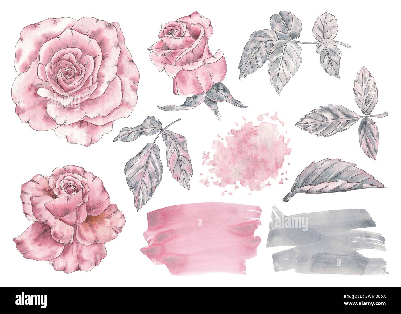 Blume Clipart Rose, Spot Aquarell Vintage Handzeichnung Illustration in botanischem Stile. Kunst für Design Hochzeitseinladung, Grußpostkarte, Karte Stockfoto