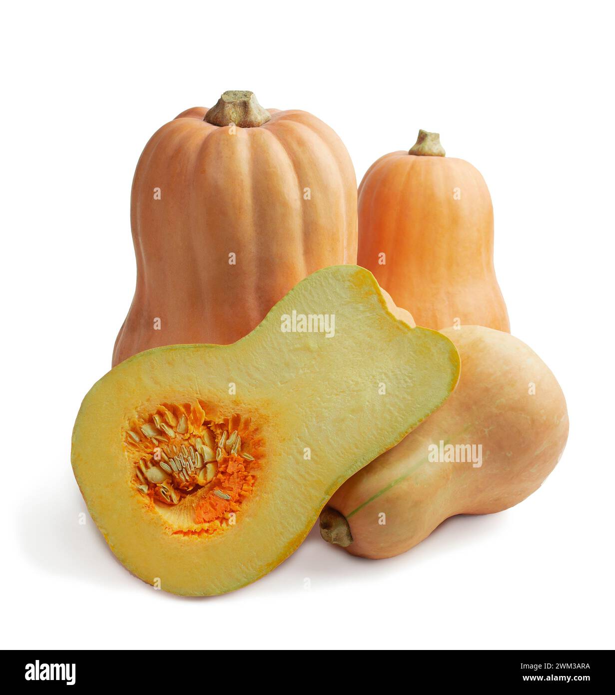 Frische orangefarbene Kürbisse. Herbst halloween. Nahaufnahme länglicher Kürbis, Lebensmittelhintergrund, Ernte, vegetarisches Gemüse, Gemüsehügel, Gemüse zurück Stockfoto