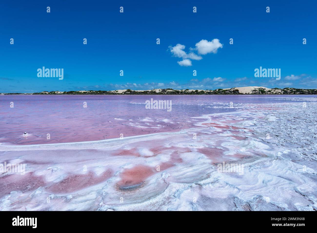 Blick auf den beliebten pinkfarbenen Lake MacDonnell, South Australia, SA, Australien Stockfoto