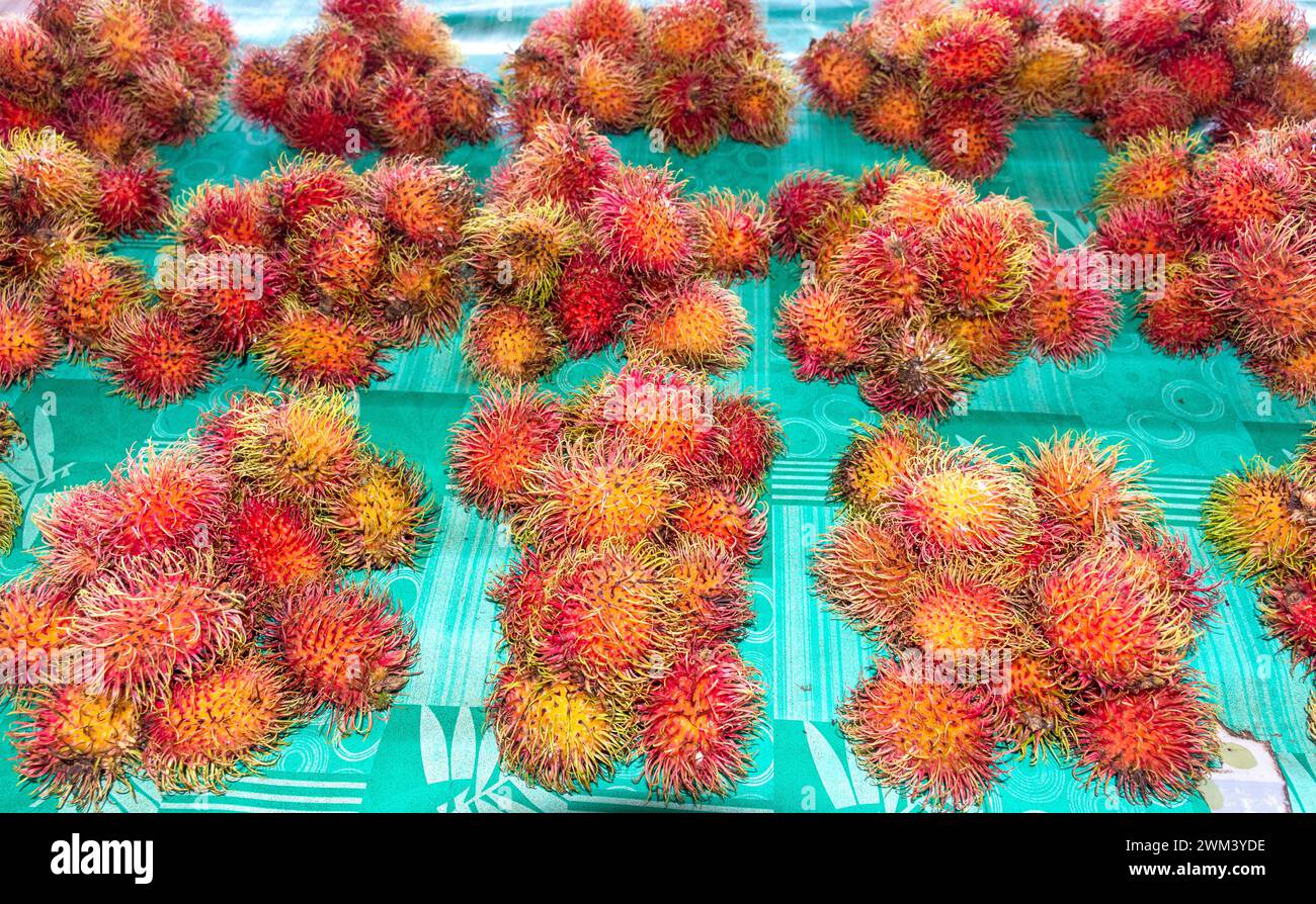 Rambutan Obst auf dem Suva Municipal Market, Fugalei Street, Apia, Upolu Island, Samoa Stockfoto