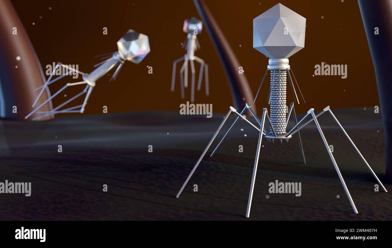 3D-Darstellung von Bakteriophagen, auch informell als Phagen bekannt Stockfoto