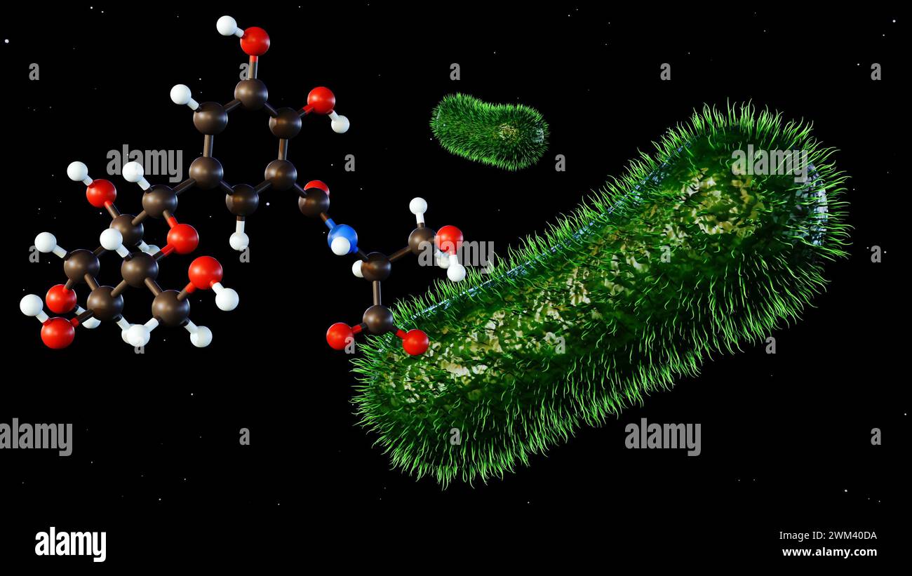 3D-Rendering von Salmochelin-Molekül Enterobactin aus Salmonella-Spezies Stockfoto