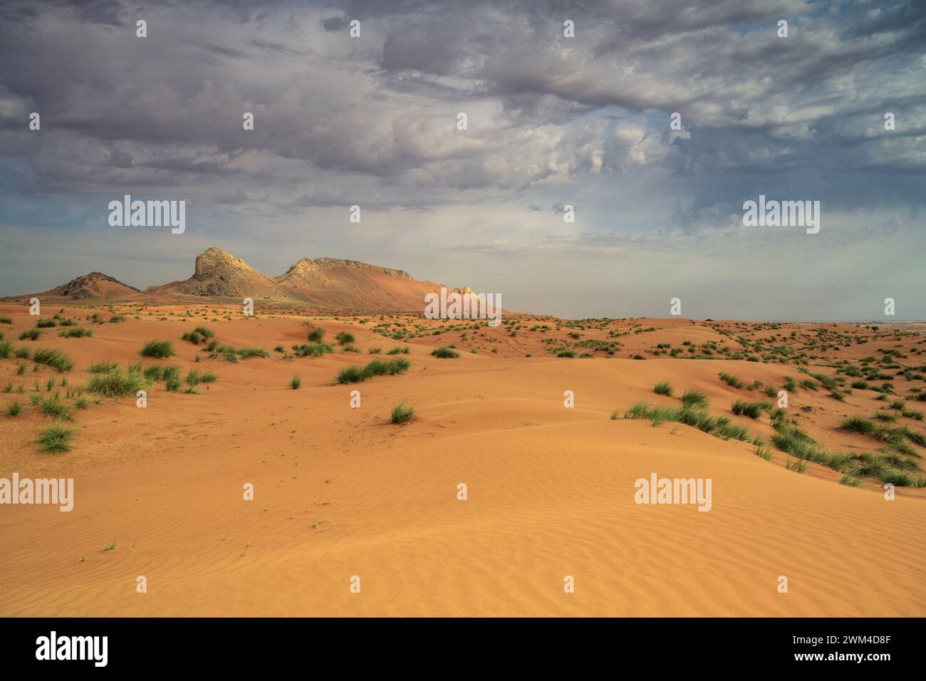 Wunderschöne Landschaft mit Blick auf die Vereinigten Arabischen Emirate Stockfoto