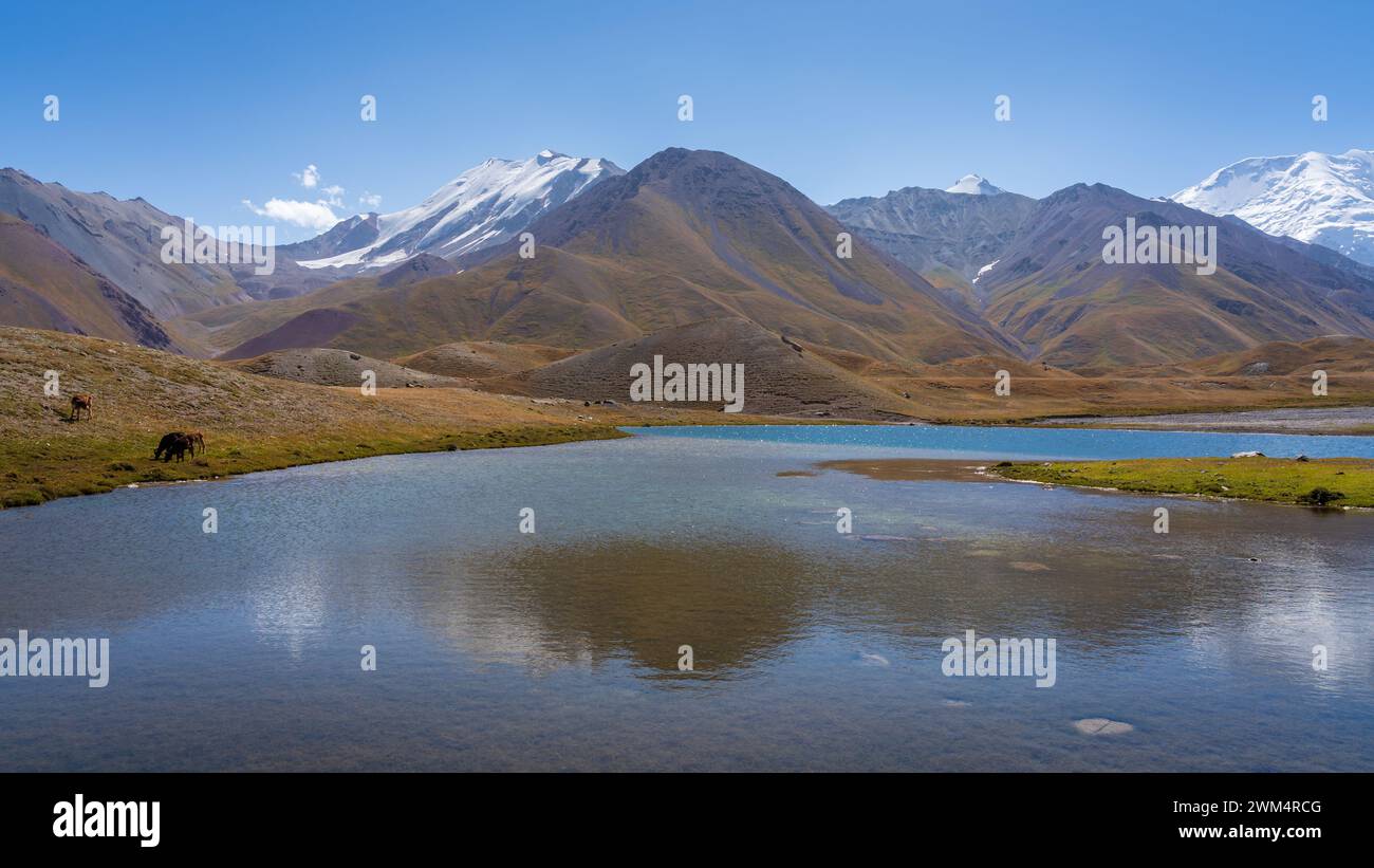 Malerische Hochgebirgslandschaft mit schneebedeckten Bergen und Reflektionen im See in der Nähe des Lenin-Gipfels Achik Tash Basecamp, Trans Alay Range, Kirgisistan Stockfoto