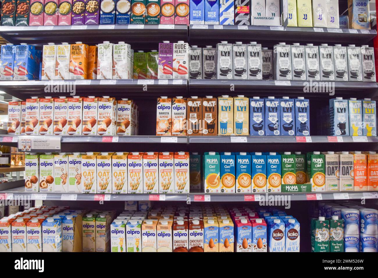 London, Großbritannien. Februar 2024. Pflanzliche Milchalternativen in einem Londoner Supermarkt. Milchalternativen könnten gezwungen werden, ihre Namen zu ändern und die Verwendung von Variationen von Begriffen wie "Milch", "Butter" und "Käse" im Rahmen der vorgeschlagenen neuen Vorschriften, die behaupten, Verwechslungen zwischen pflanzlichen Erzeugnissen und Milcherzeugnissen zu vermeiden, einzustellen. Der Vorschlag wurde von pflanzlichen Lebensmittelherstellern kritisiert. Quelle: Vuk Valcic/Alamy Live News Stockfoto