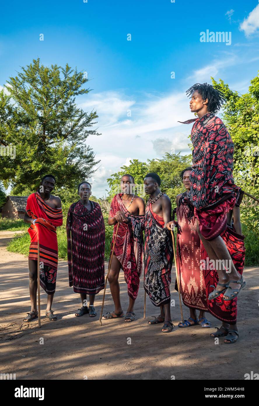 Eine Gruppe von Maasai-Kriegern führt den traditionellen Springtanz in ihrem Dorf in Mikumi, Tansania, auf Stockfoto