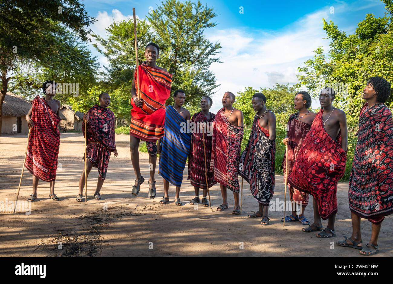 Eine Gruppe von Maasai-Kriegern führt den traditionellen Springtanz in ihrem Dorf in Mikumi, Tansania, auf Stockfoto