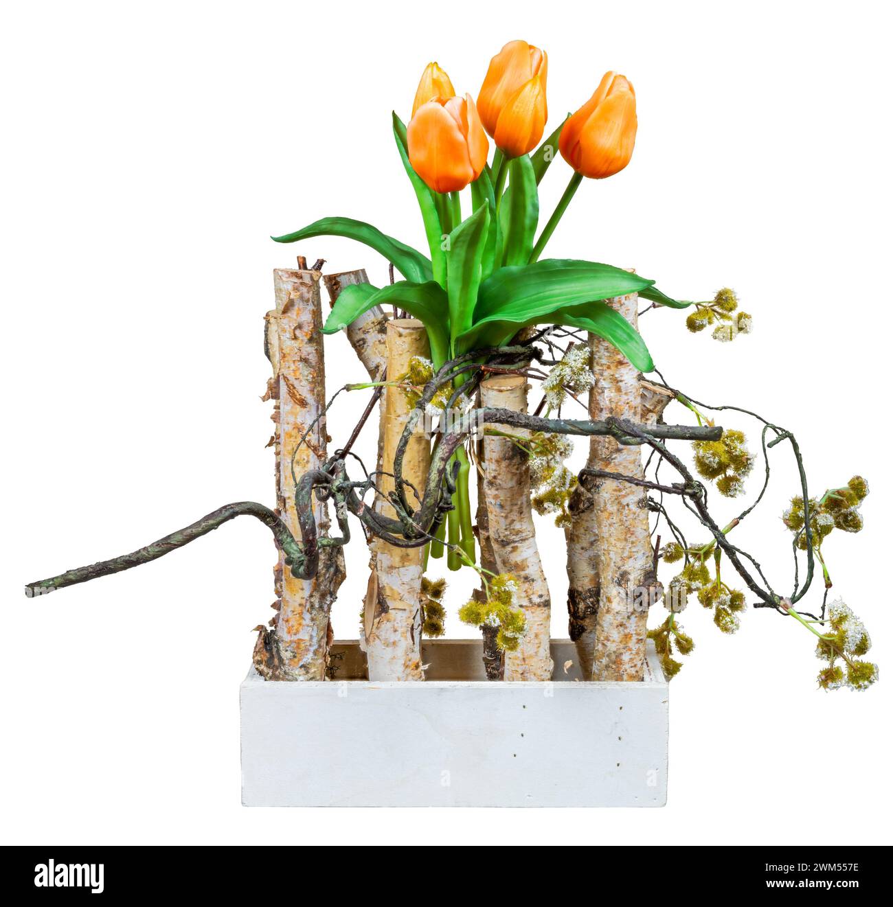 Frühlingsdeco mit künstlichen Tulpen und Birkenzweigen isoliert auf weiß Stockfoto