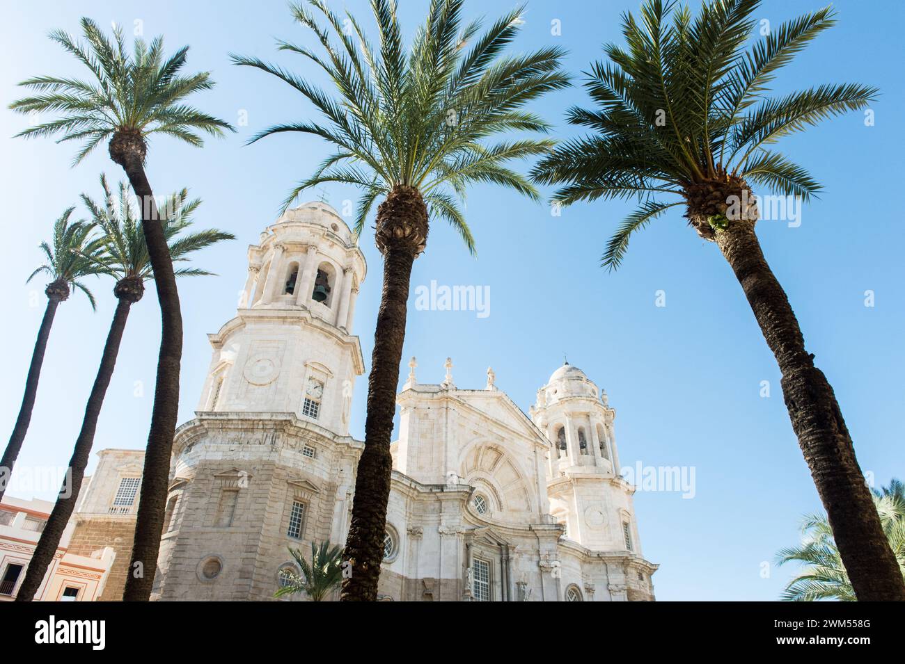 Die Kathedrale von Santa Cruz in Cadiz, Spanien. Stockfoto