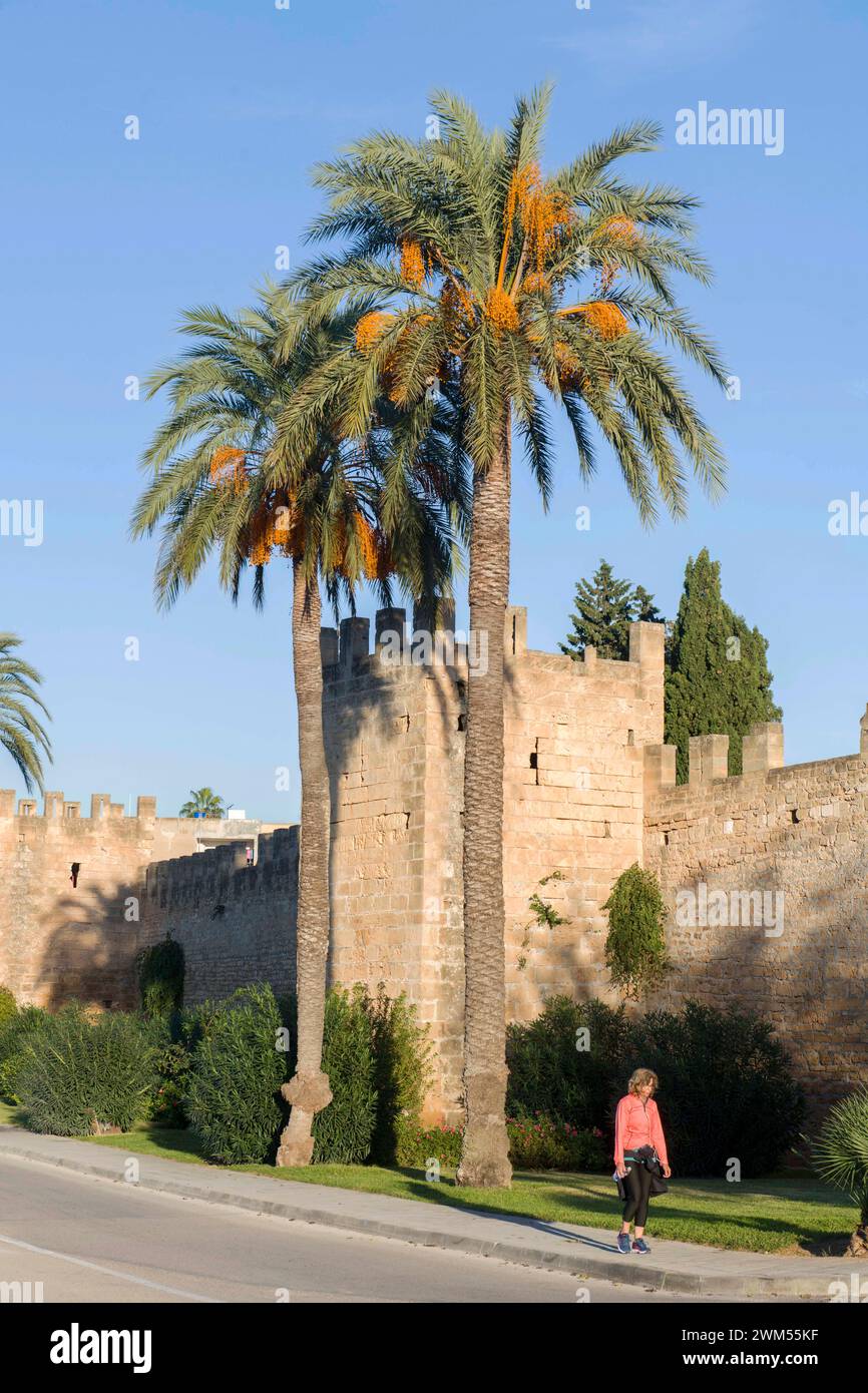 Stadtmauern in Alcúdia, Mallorca Stockfoto