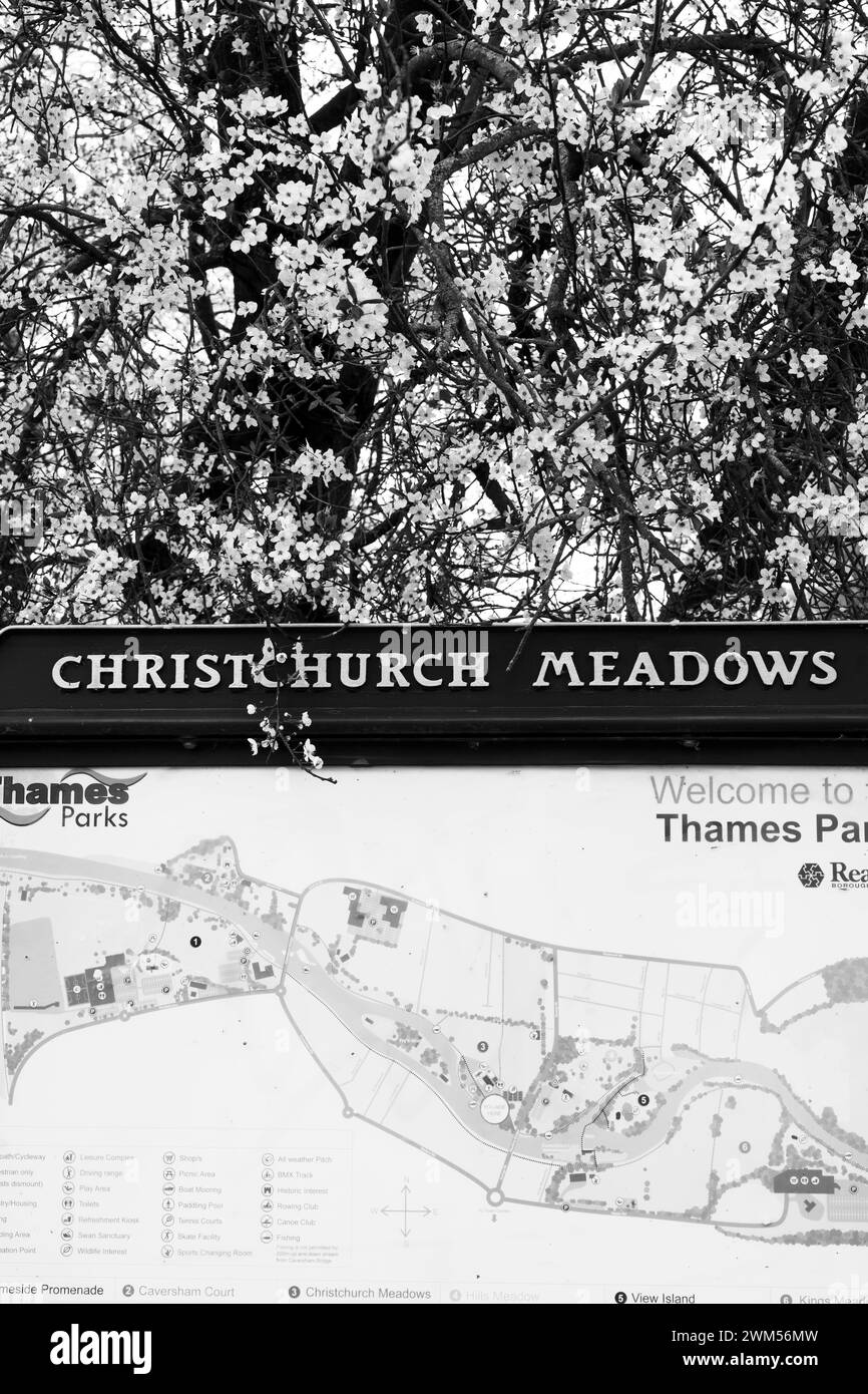 Schwarz-weiß, Christchurch Wiesen Schild, mit Kirschbaum, Caversham, Lesen, Berkshire, England, Großbritannien, GB. Stockfoto