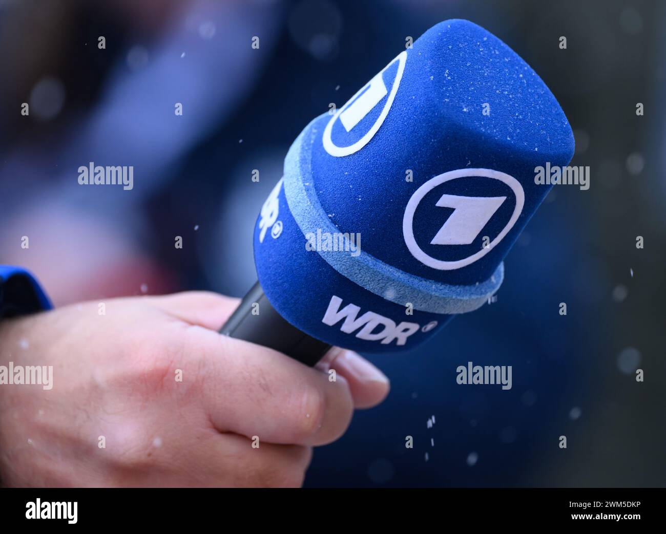 Winterberg, Deutschland. Februar 2024. Bobbahn: Weltmeisterschaften, Monobob, Frauen, 2. Lauf. Ein ARD-Sportreporter hält ein Mikrofon mit dem WDR-Logo. Robert Michael/dpa/Alamy Live News Stockfoto