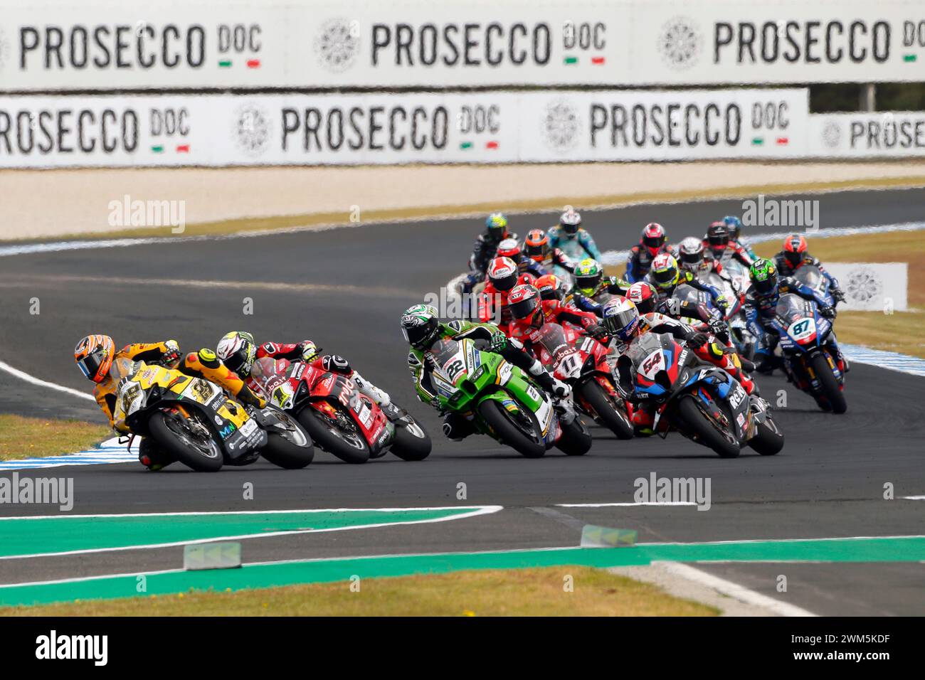 Phillip Island Grand Prix Circuit, 24. Februar 2024: 29 Andrea Iannone (ITA) in Führung auf Ducati Panigale V4R von TEAM GO ELF während der Superbike-Weltmeisterschaft 2024. (Foto von Damir IVKA/ATP Images) (IVKA DAMIR /ATP/SPP) Credit: SPP Sport Pressefoto. /Alamy Live News Stockfoto