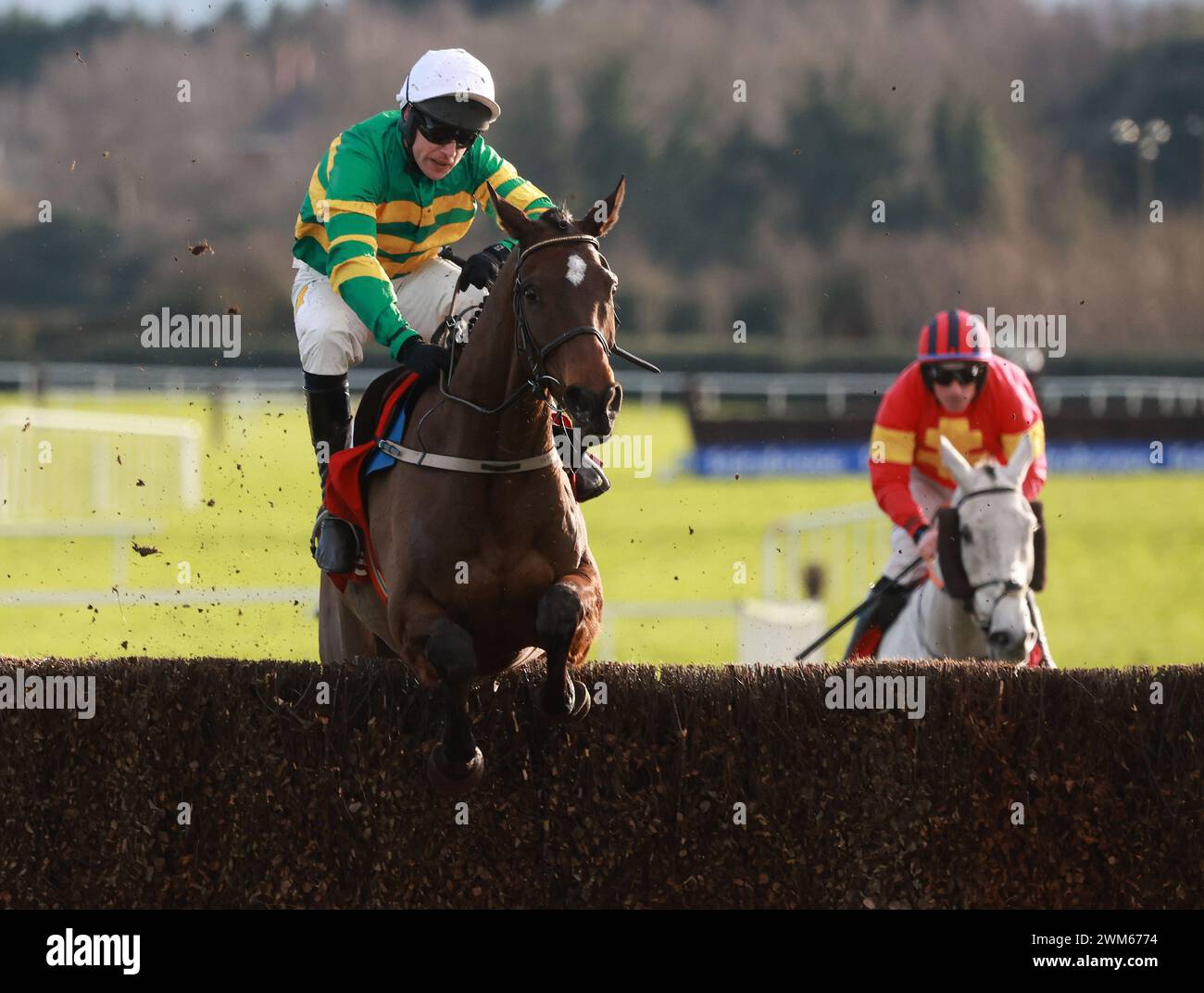 Ich bin Maximus mit Jody McGravey, die letzte auf dem Weg zum Sieg in der Tote. Das heißt Bobbyjo Steeplechase auf der Fairyhouse Racecourse in County Meath, Irland. Bilddatum: Samstag, 24. Februar 2024. Stockfoto