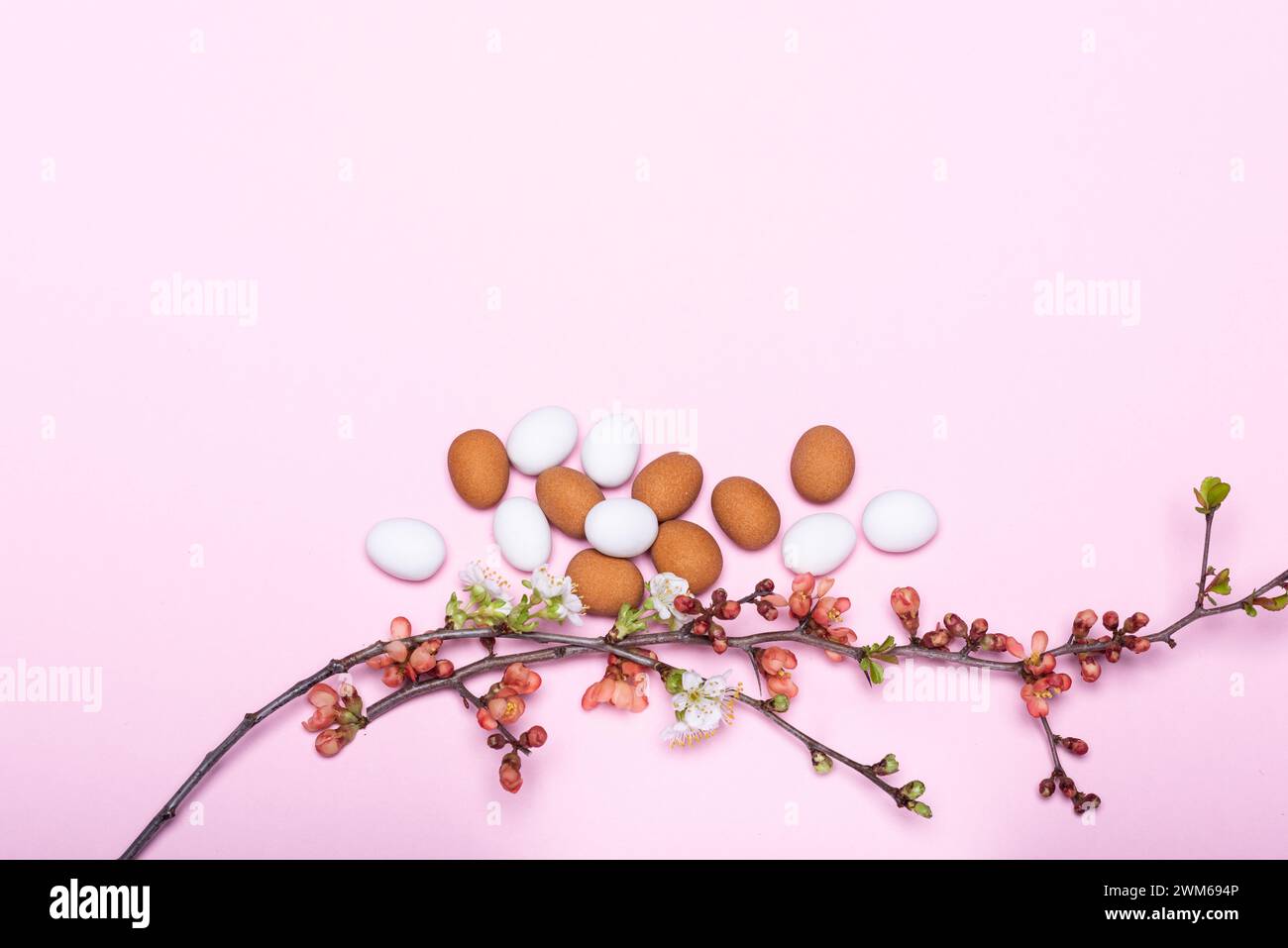 Eier und Zweige mit Frühlingsblüten vor einem Pinken Hintergrund Stockfoto
