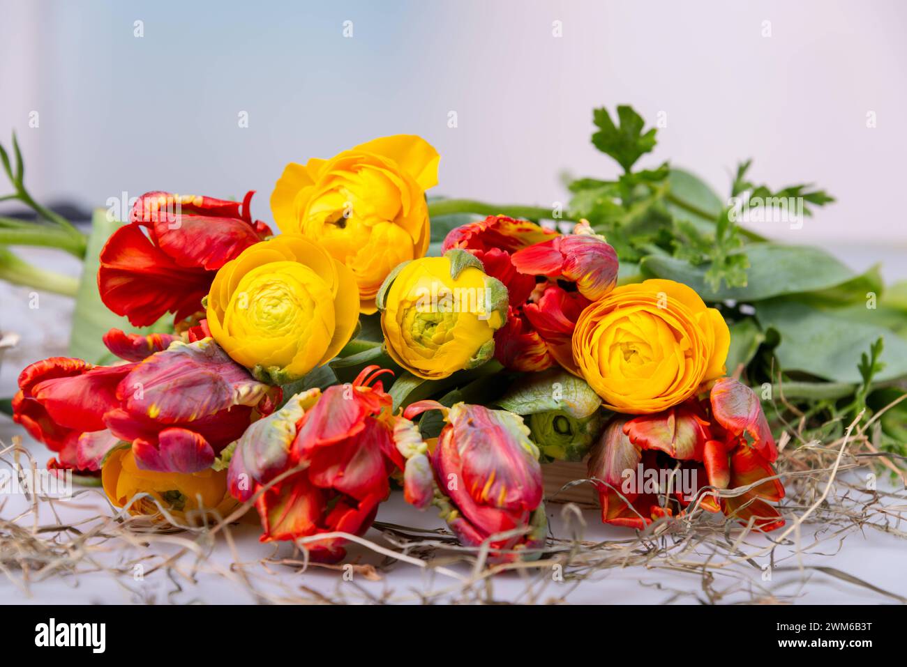 Ein bunter Frühlingsstrauß als Postkartenmotiv zu Ostern *** Ein bunter Frühlingsstrauß als Postkartenmotiv zu Ostern Stockfoto