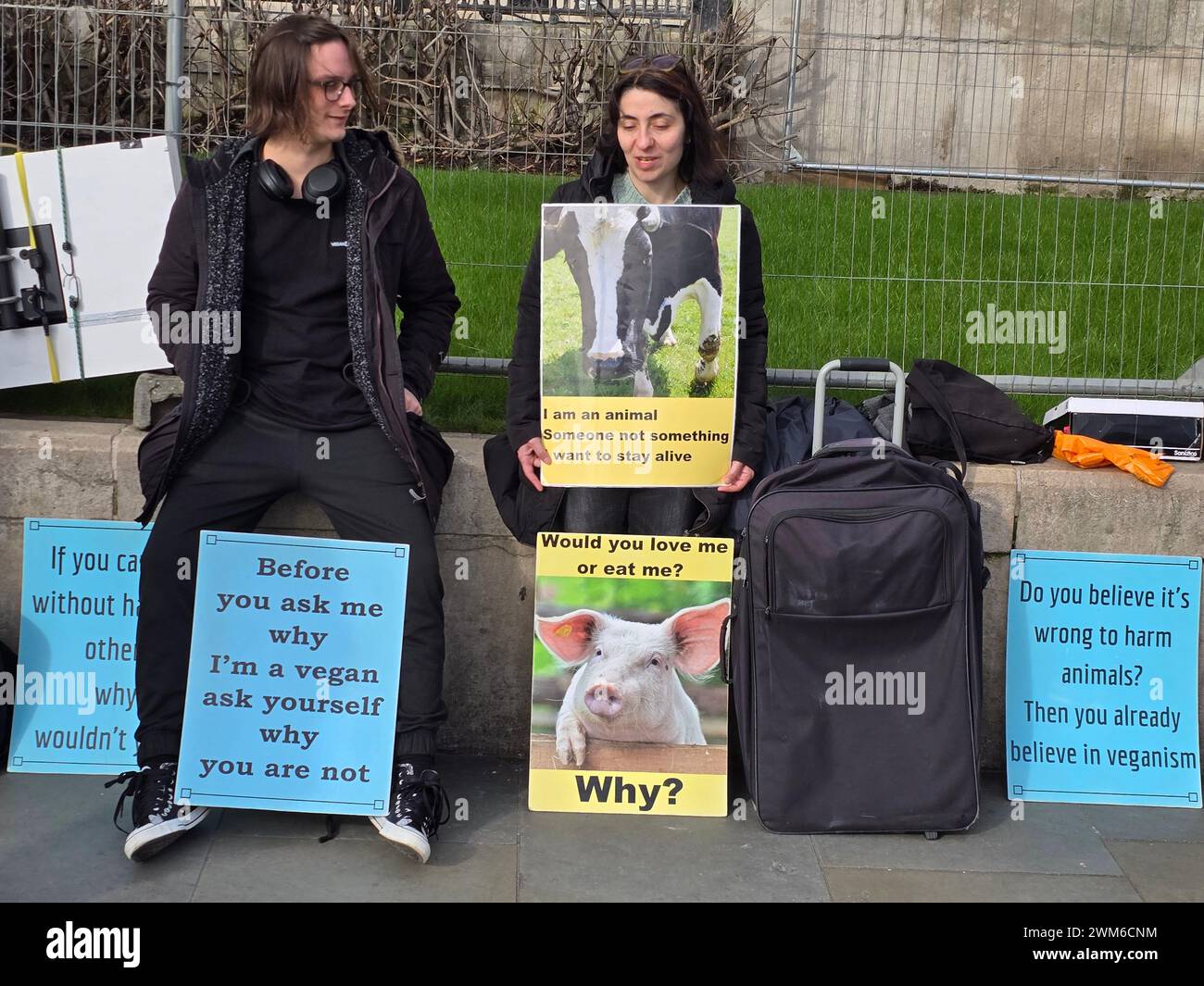 London, Vereinigtes Königreich. Februar 2024. Eine kleine Gruppe Veganer protestiert gegen das Töten von Tieren vor der National Gallery am Trafalgar Square. Quelle: Uwe Deffner/Alamy Live News Stockfoto