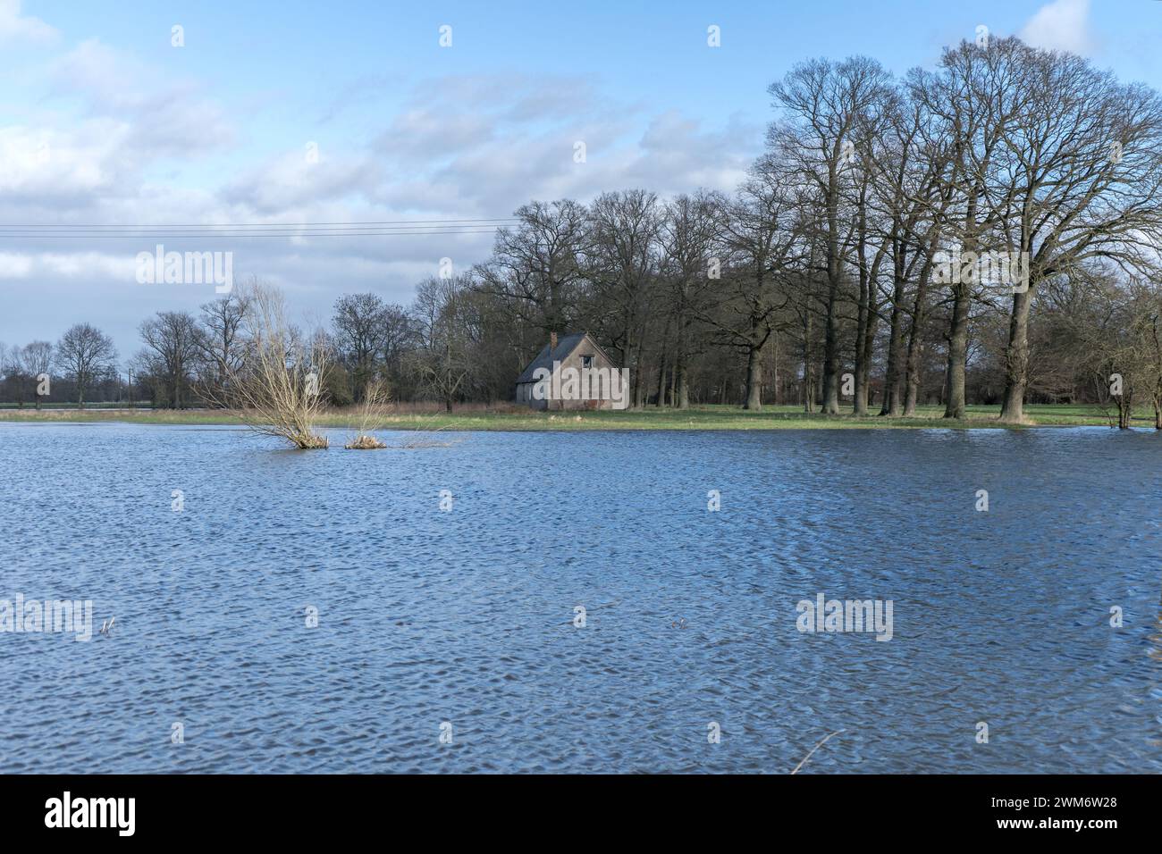 Landschaft mit überfluteten Wiesen in der Altmark, Sachsen-Anhalt, Deutschland Stockfoto