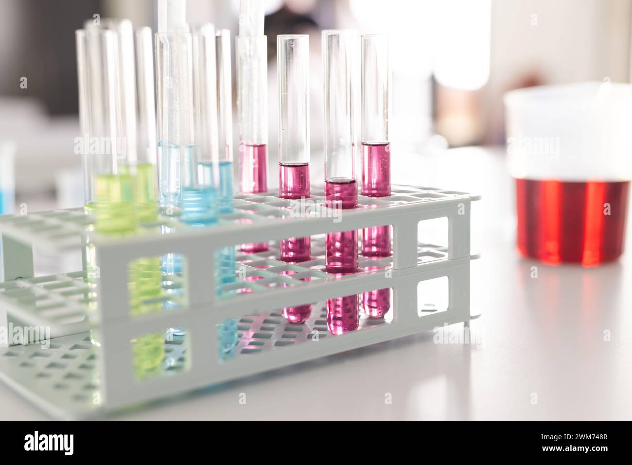 Reagenzgläser mit bunten Flüssigkeiten in einem Laborgestell, Fokus auf den Vordergrund Stockfoto