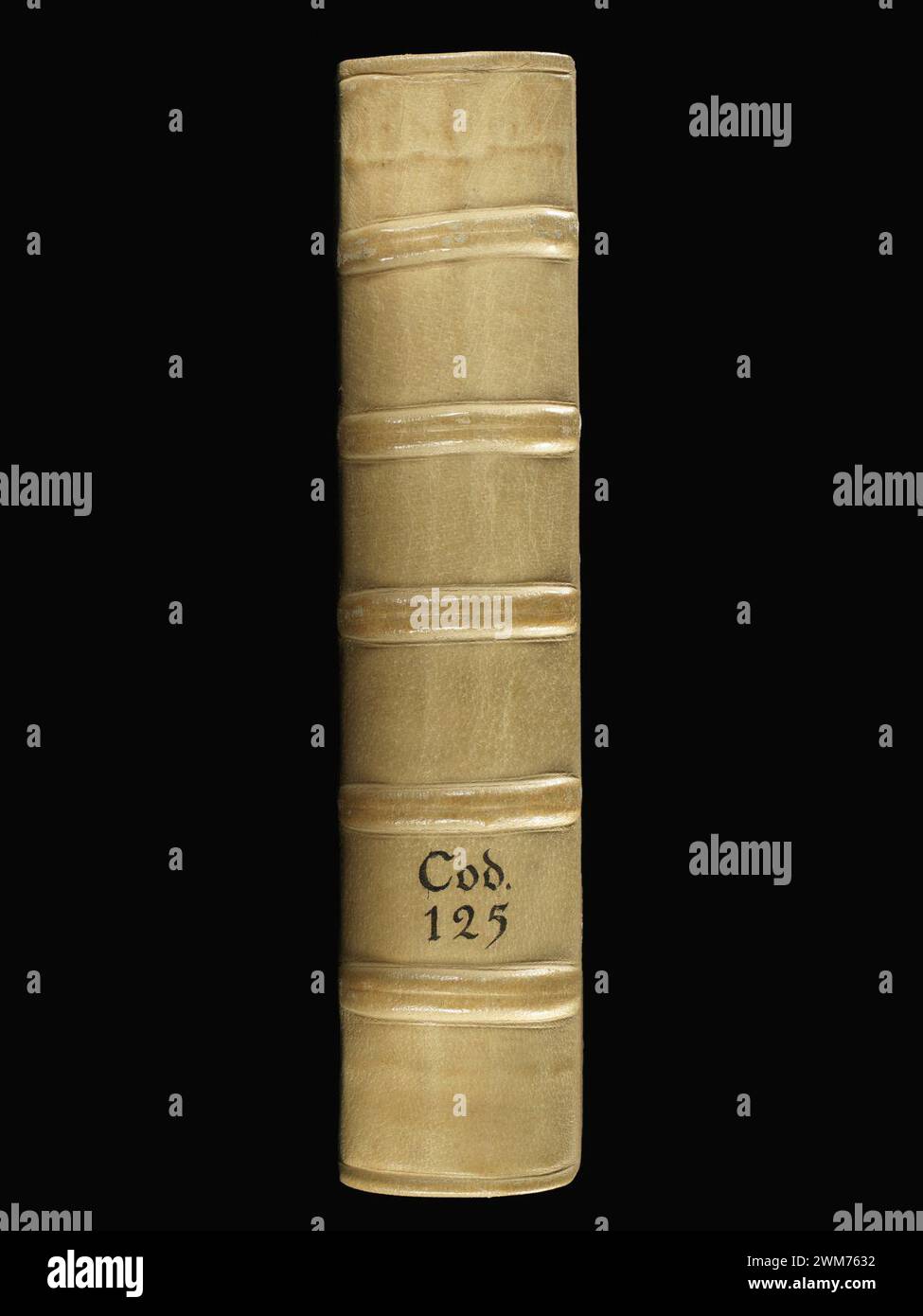 Csb. 125, Spine: Marco Polo Devisement du Monde, Jean de Mandeville Voyages, Jean le Long d'Ypres Récits de Voyages. Stockfoto