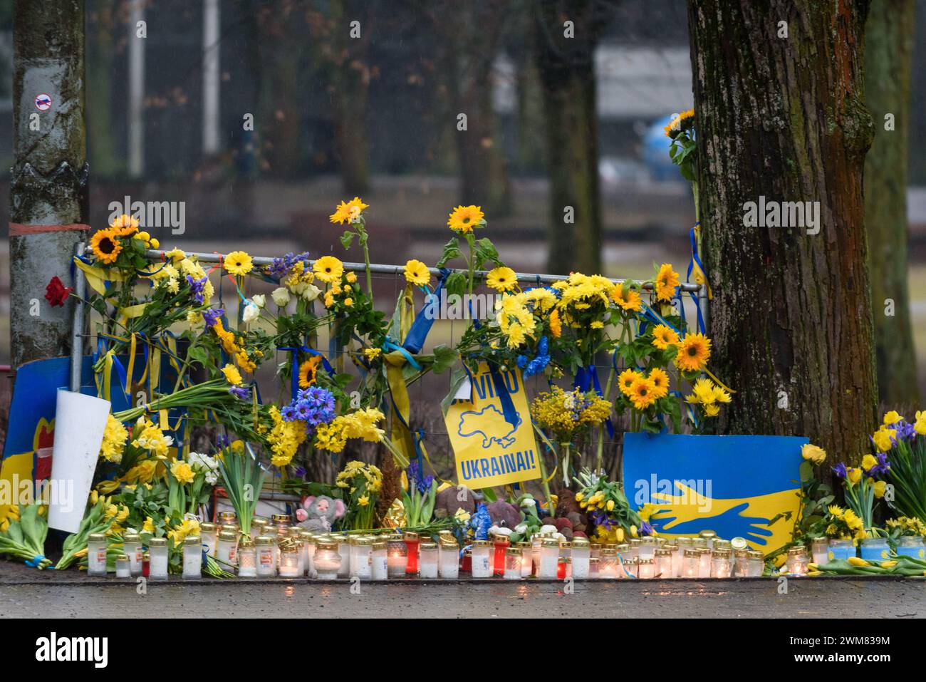 RIGA, Lettland. Februar 2024. In der Nähe der ukrainischen Botschaft in Lettland zollt man der Ukraine Anerkennung. Zwei Jahre, seit Russland einen brutalen Krieg gegen die Ukraine begonnen hat. Quelle: Gints Ivuskans/Alamy Live News Stockfoto