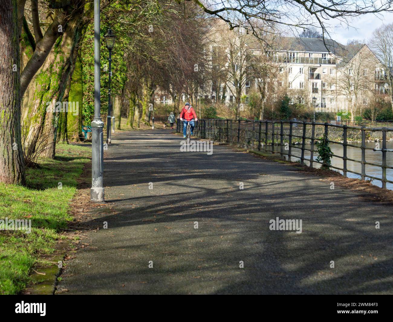 Ein Radfahrer in roter Jacke radelt den gemischten Radweg entlang des Flusses Kent. Stockfoto