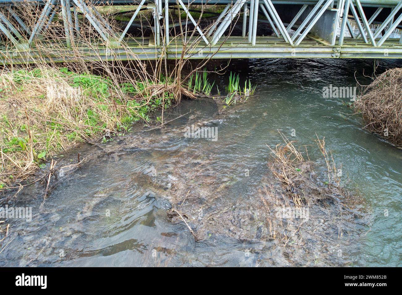 Chalfont St Peter, Großbritannien. Februar 2024. Klärpilz im Fluss Misbourne bei Chalfont St Giles, Buckinghamshire. Das Wasser der Themse fließt in den Fluss Misbourne, einen wertvollen Kreidefluss in Amersham bei den Amersham Balancing Tanks in Buckinghamshire. Der Thames Water Event Duration Monitor (Thames Water Event Duration Monitor) ist nach wie vor außer Betrieb, es gibt jedoch deutliche Hinweise auf Klärpilz im flussabwärts gelegenen Fluss bei Chalfont St Giles und einen Abwasserstank. Quelle: Maureen McLean/Alamy Live News Stockfoto