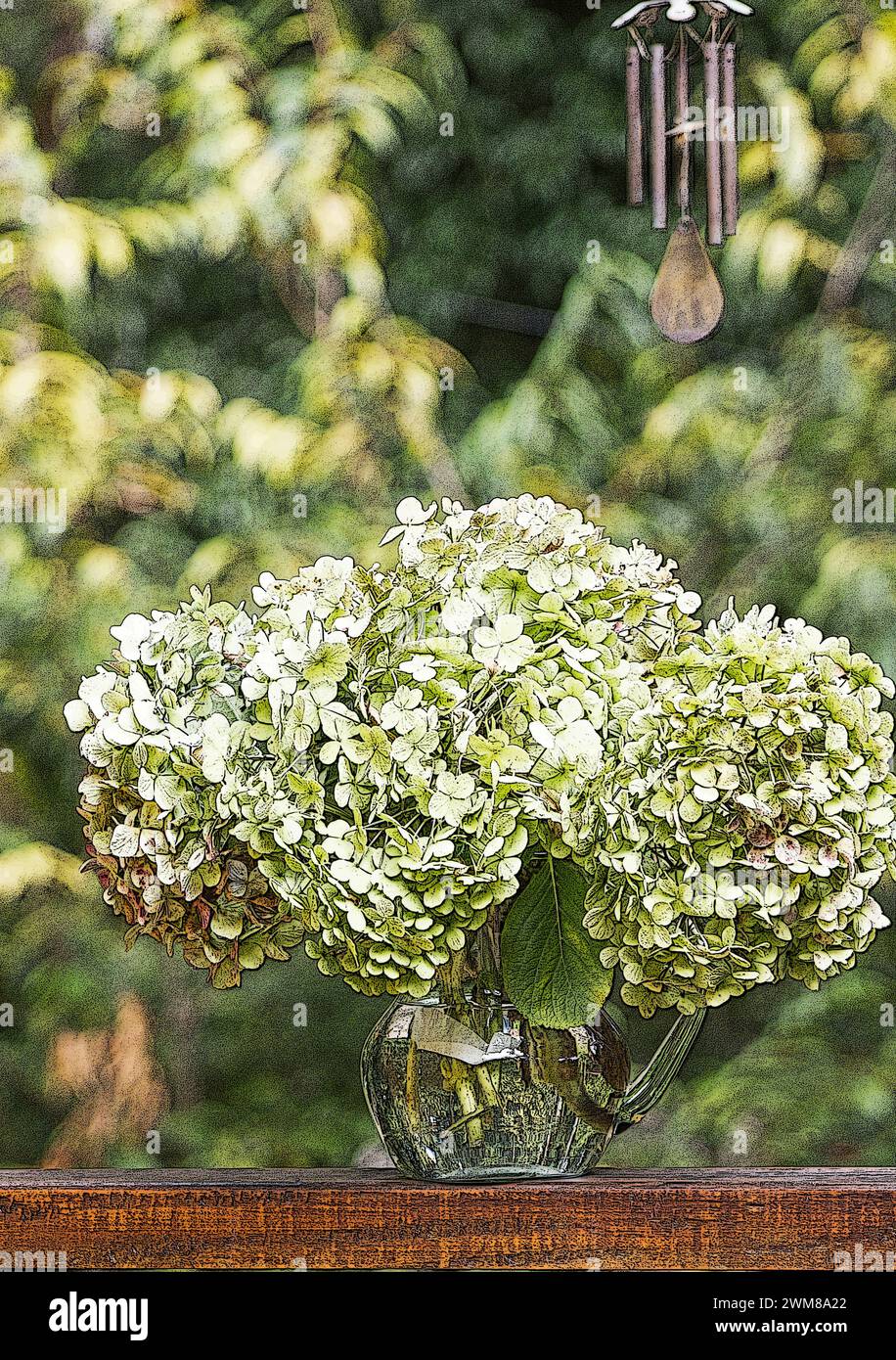 Hortensie Pflanze Blume in einer Vase auf natürlichem Hintergrund Stockfoto