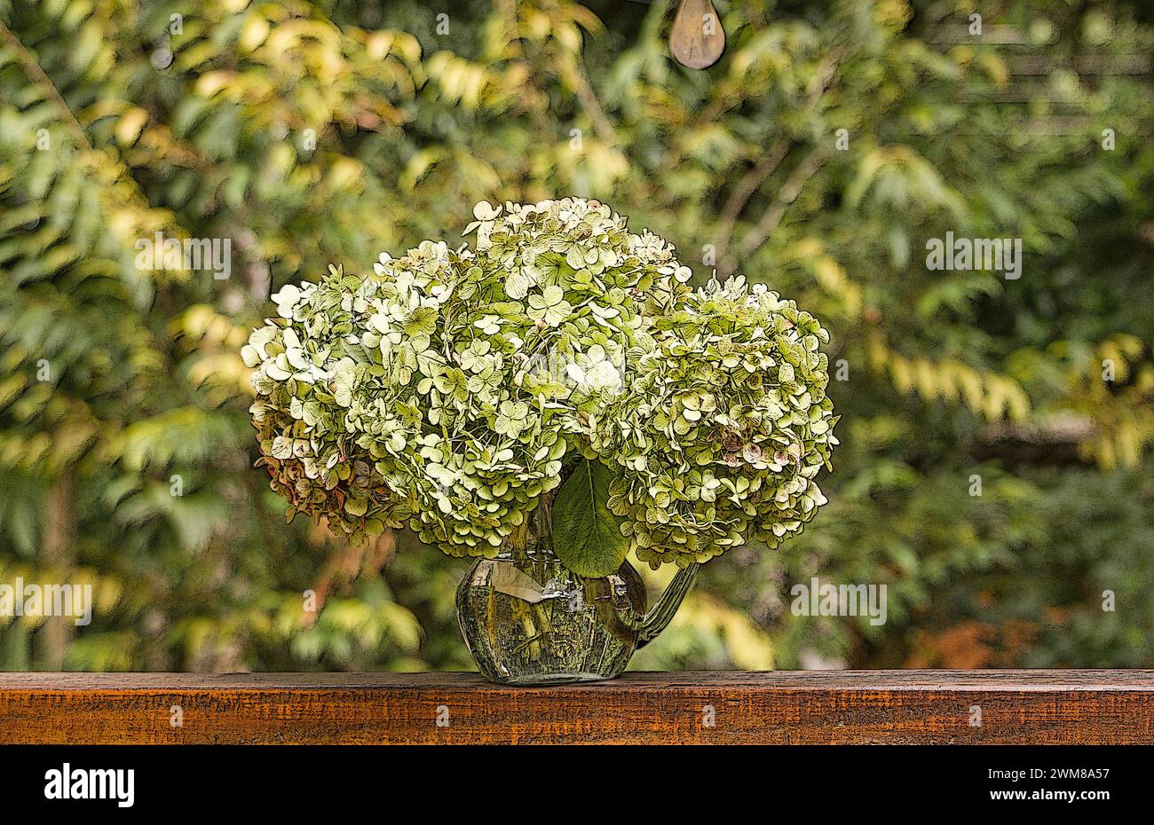 Hortensie Pflanze Blume in einer Vase auf natürlichem Hintergrund Stockfoto