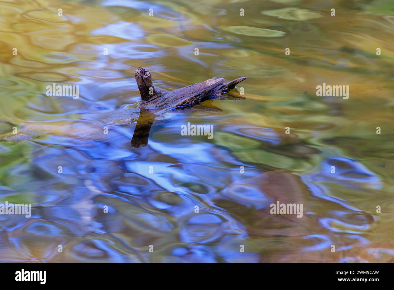Bunte Wellen am Willow Springs Lake am Mogollon Rim bei Payson. Stockfoto