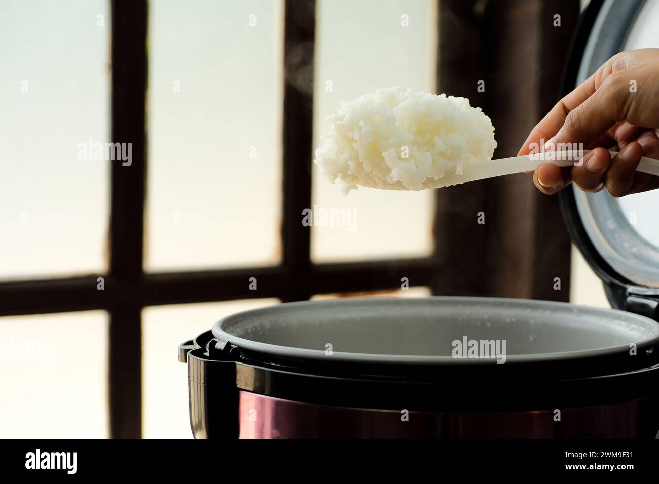 Weißer Reis wird mit Dampf aus einem elektrischen Reiskocher löffelt. Konzept für warme Speisen Stockfoto