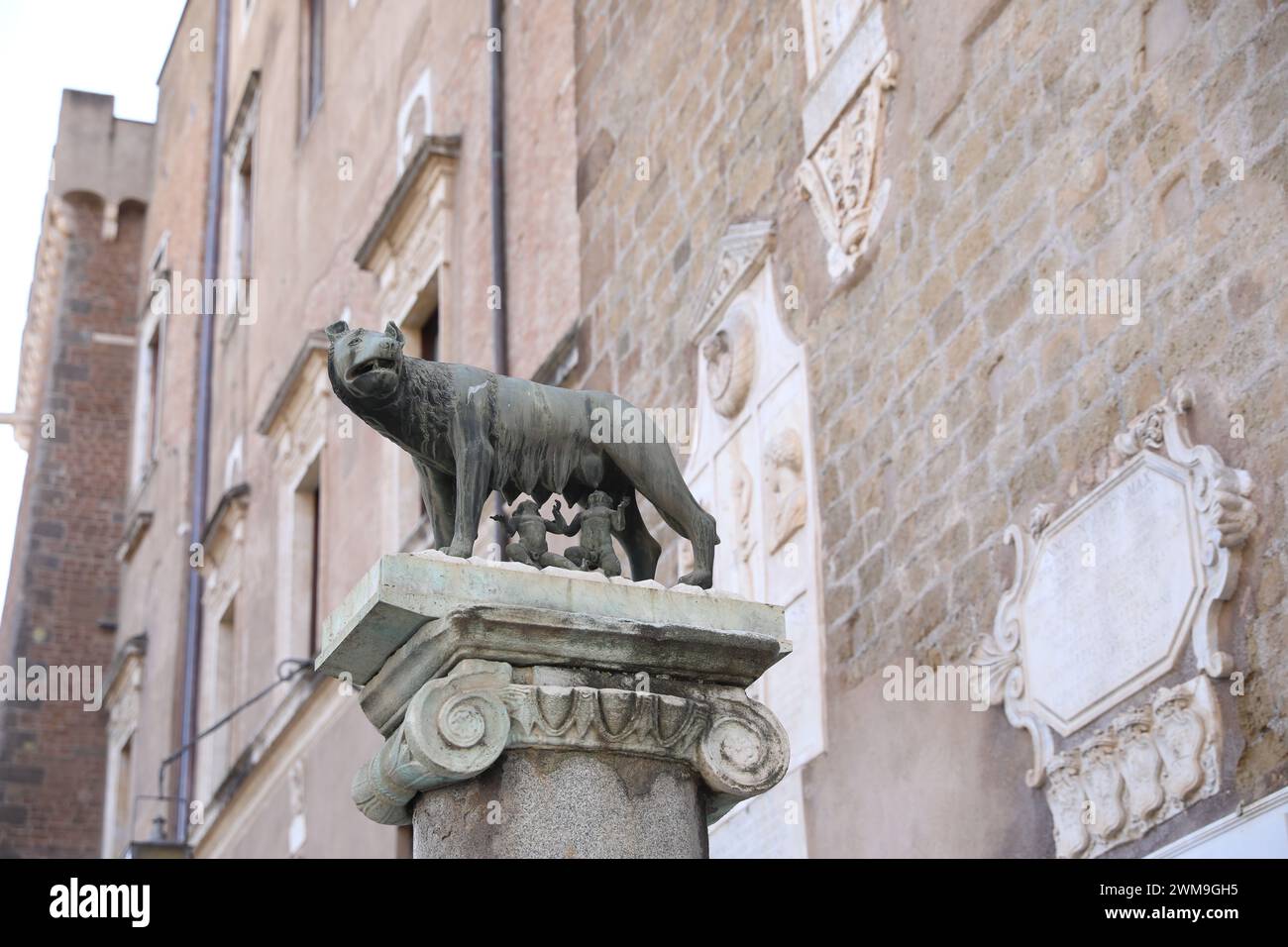 Rom, Italien - 4. Februar 2024: Statue des Kapitolinischen Wolfs im Freien, flacher Blick Stockfoto