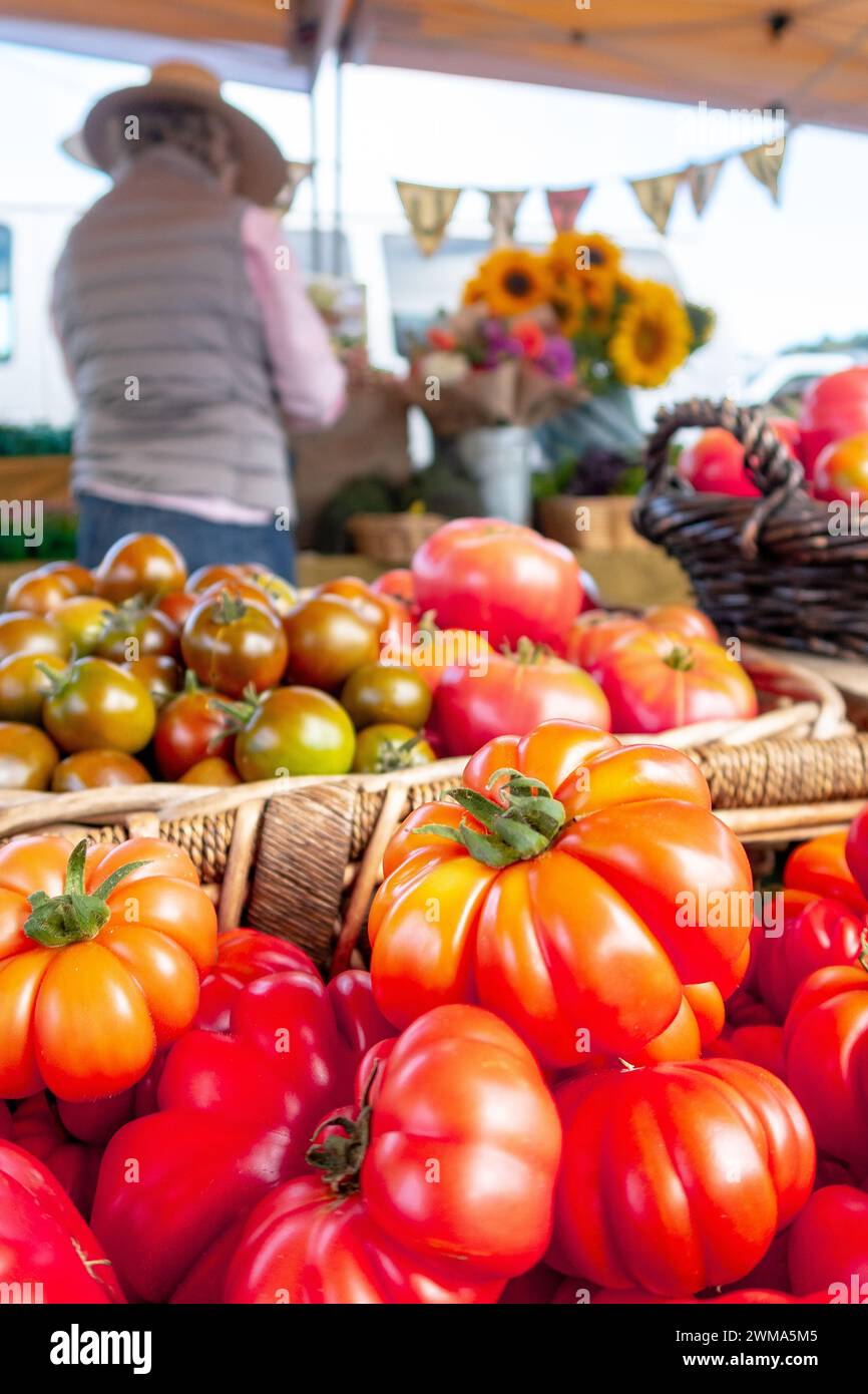 Bunte Auswahl an frischen Bio-Tomaten auf Holztisch. Hochwertige Fotos Stockfoto