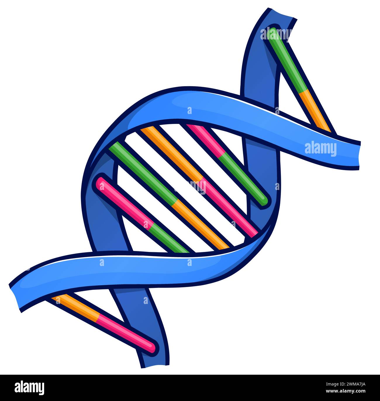 Abbildung eines isolierten dna- oder Chromosomenkartoons Stock Vektor