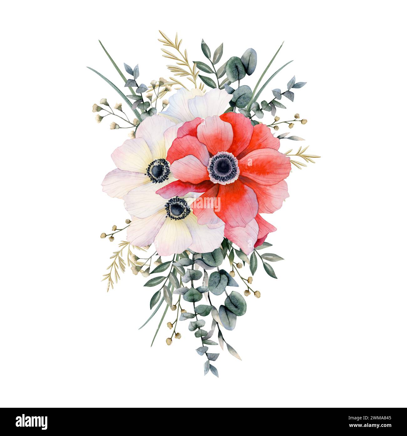 Weiße und rote Anemonen Blumenstrauß mit Feldblumen, Eukalyptus und Gras Aquarellillustration für Grußkarten Stockfoto